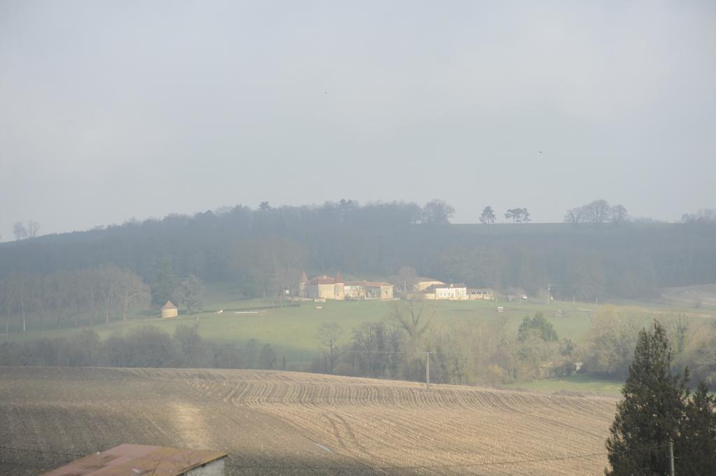 Chateau De Lerse Perignac (Charente) Bagian luar foto